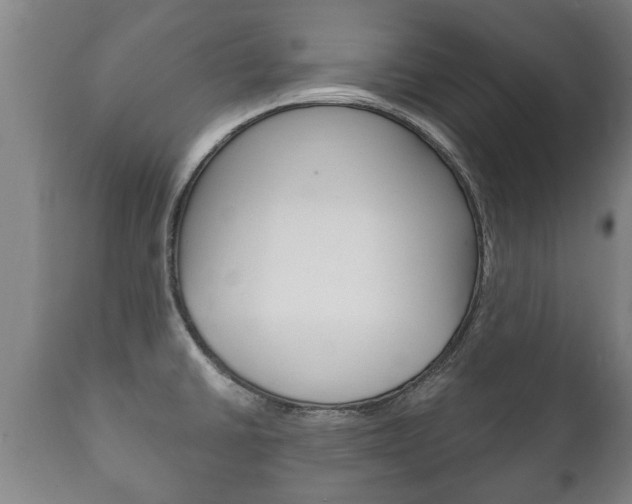 X0000111911430200907271024