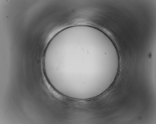 X0000111911431200907271024