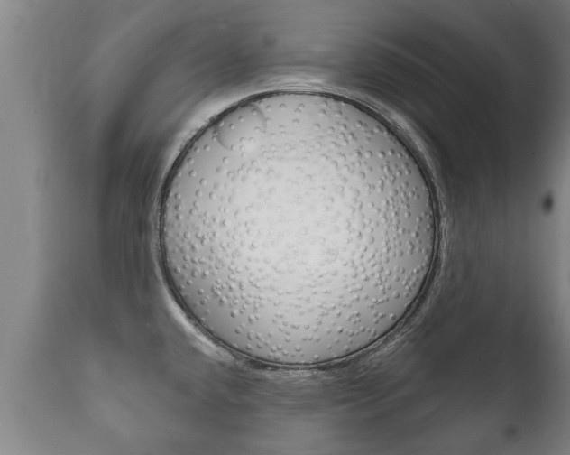 X0000111911432200907271024