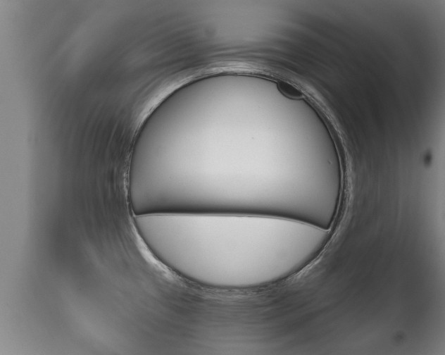 X0000111911433200907271024