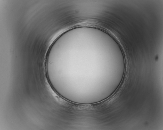 X0000111911434200907271024