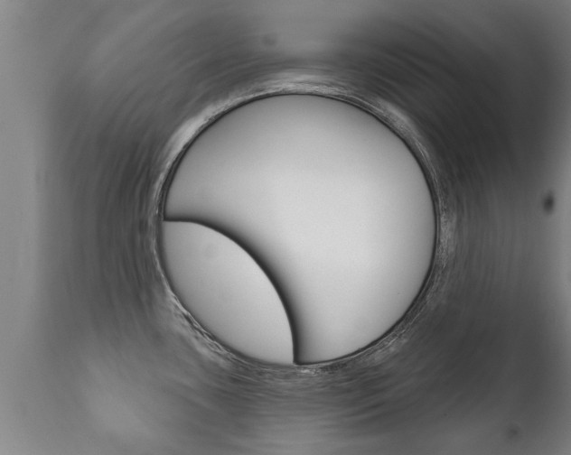 X0000111911435200907271024