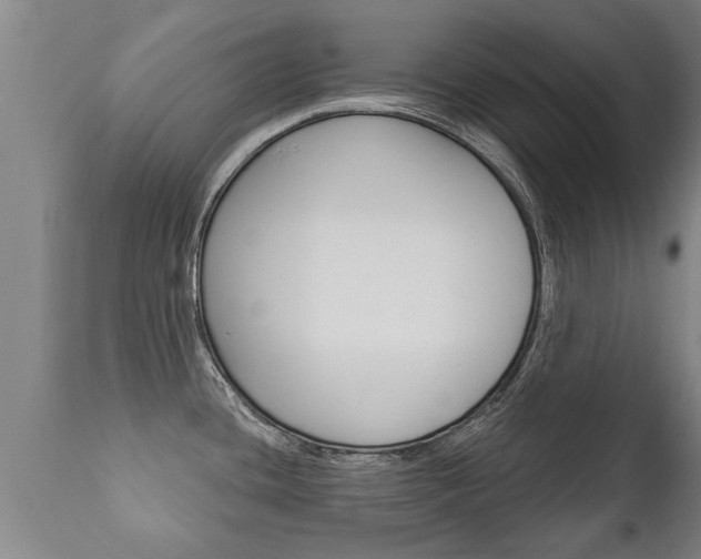 X0000111911436200907271024