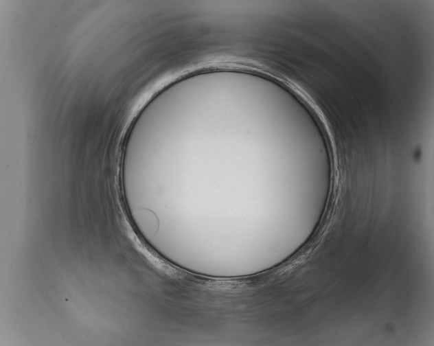 X0000111911437200907271024