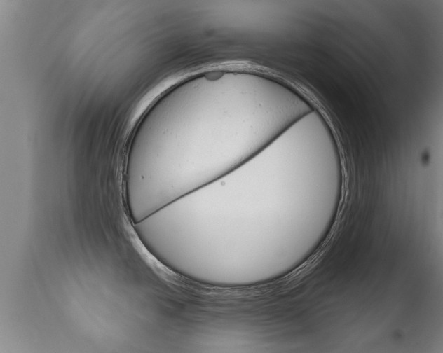 X0000111911438200907271024