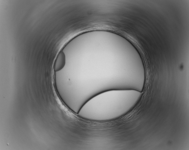 X0000111911439200907271024