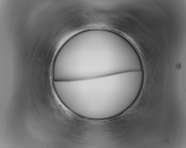 X0000111911440200907271024