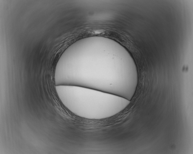 X0000111911442200907271023
