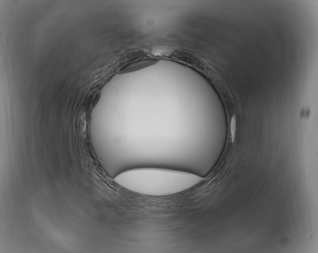 X0000111911443200907271023