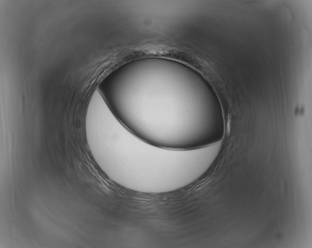 X0000111911444200907271023