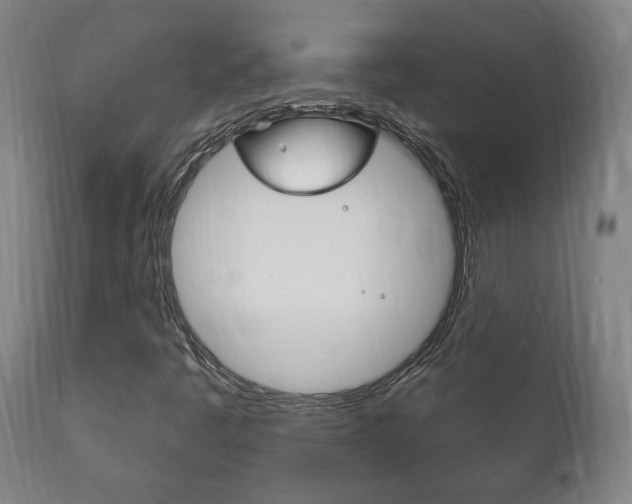 X0000111911445200907271023