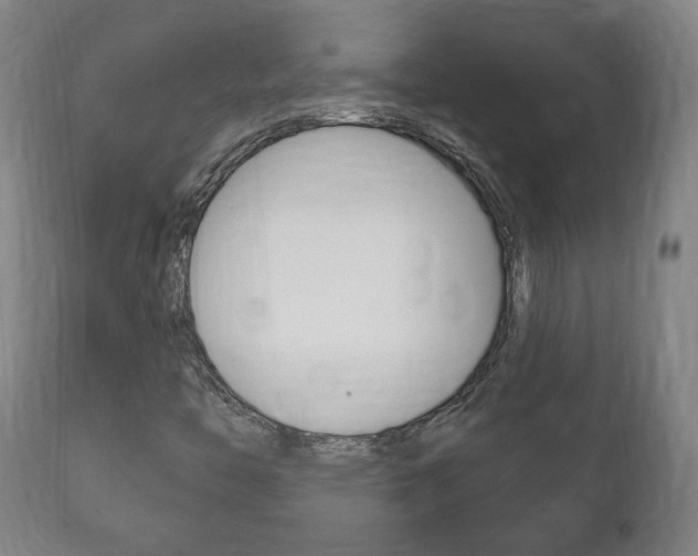 X0000111911446200907271023