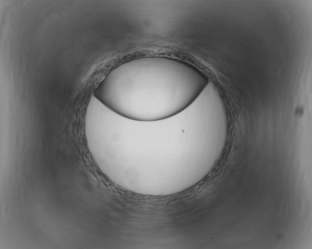 X0000111911447200907271023