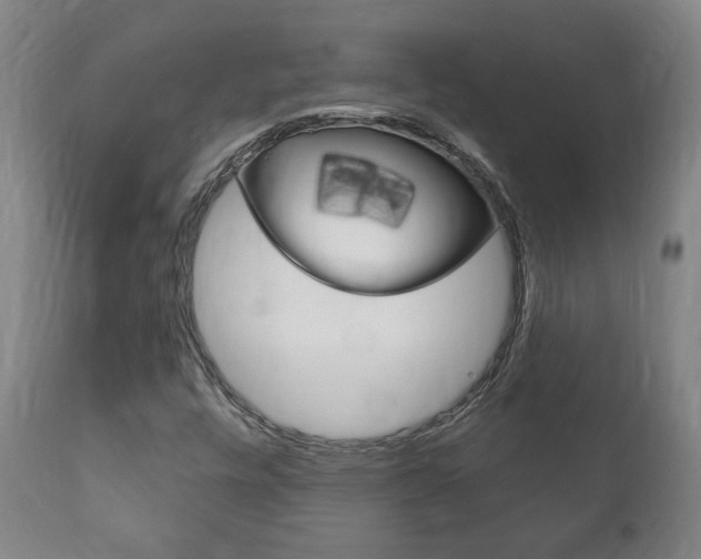 X0000111911448200907271023
