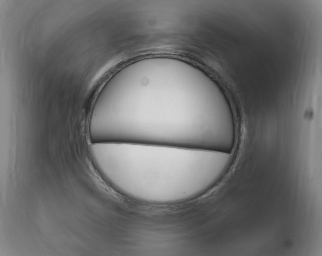 X0000111911450200907271023