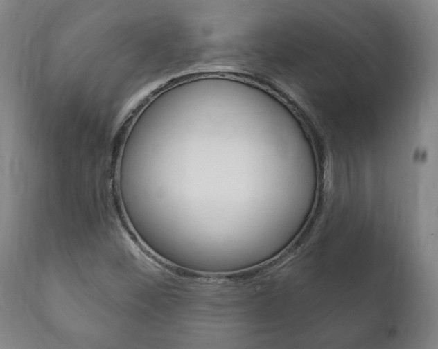 X0000111911452200907271023