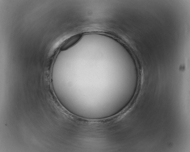 X0000111911453200907271023