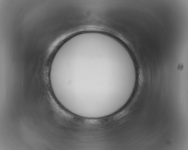X0000111911454200907271023