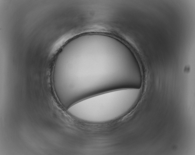 X0000111911455200907271023