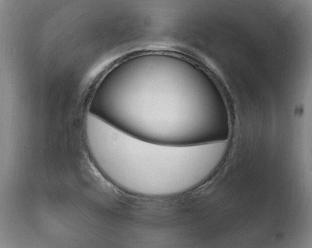 X0000111911456200907271023