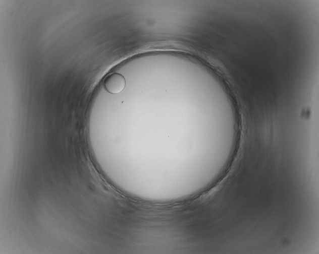 X0000111911457200907271023