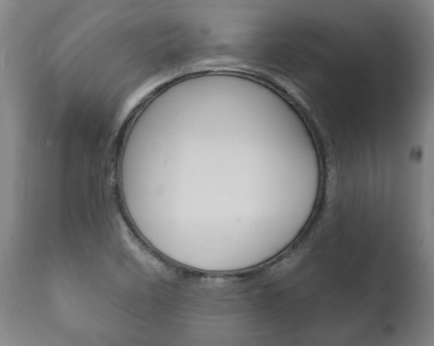 X0000111911458200907271023