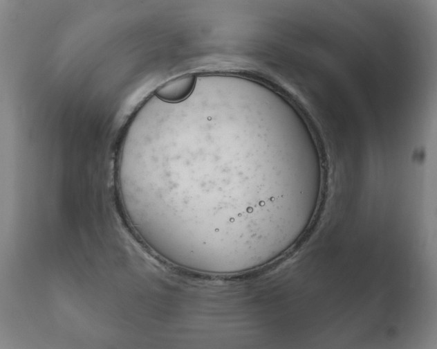 X0000111911459200907271023