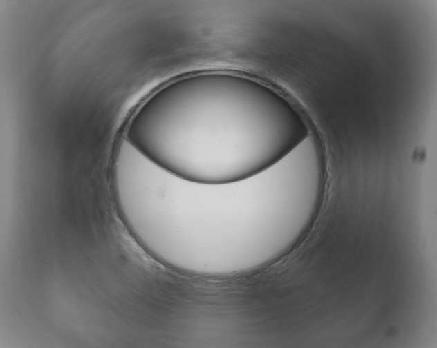 X0000111911460200907271023