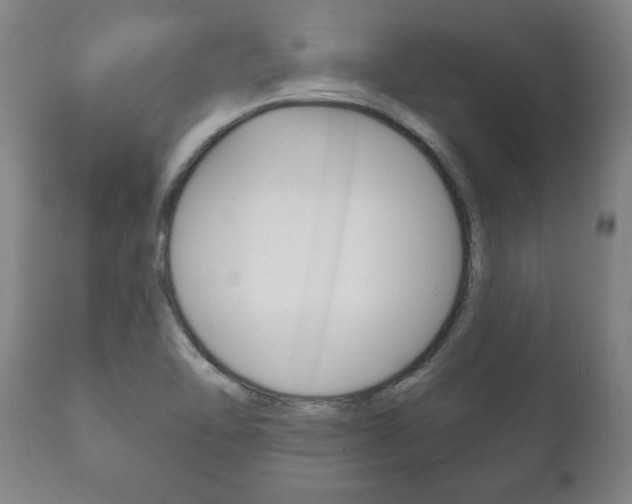 X0000111911462200907271023