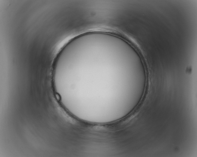 X0000111911463200907271023