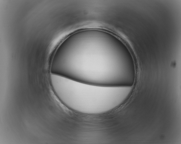 X0000111911464200907271023