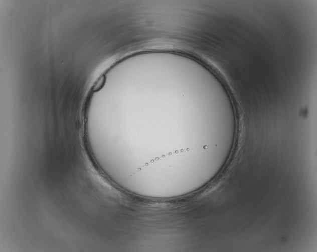 X0000111911467200907271023