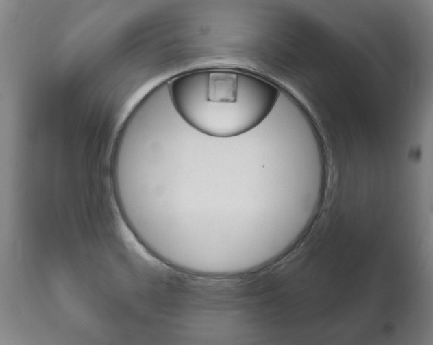 X0000111911468200907271023