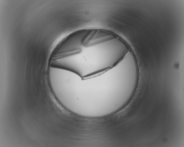 X0000111911469200907271023