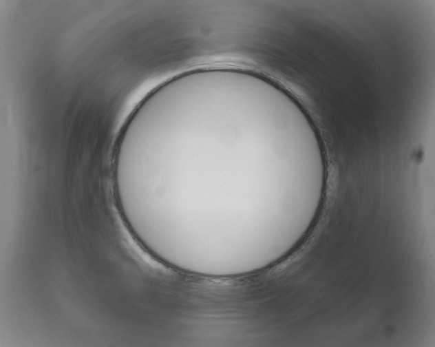 X0000111911470200907271023