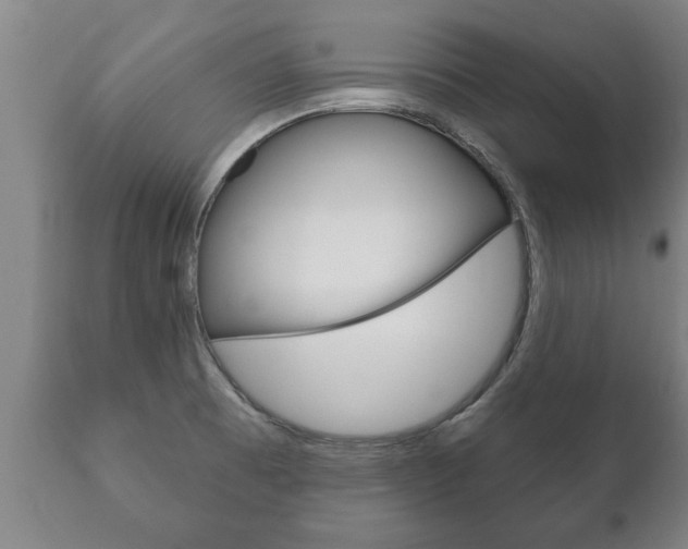X0000111911473200907271023