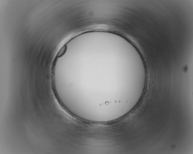 X0000111911475200907271023
