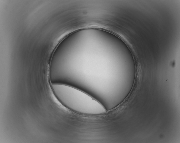 X0000111911476200907271023