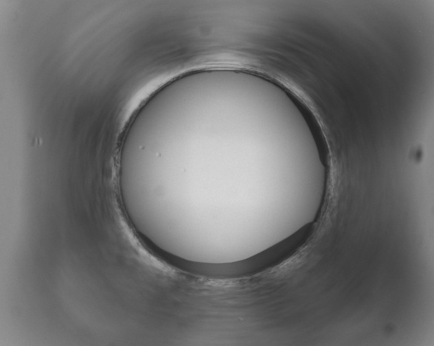 X0000111911477200907271023