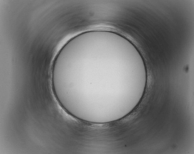 X0000111911478200907271023