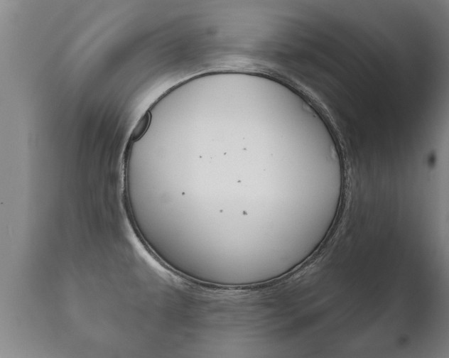 X0000111911479200907271023