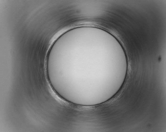 X0000111911482200907271022