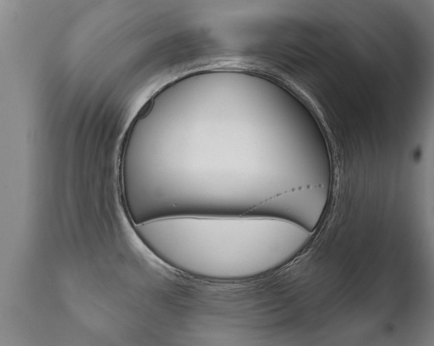 X0000111911483200907271022