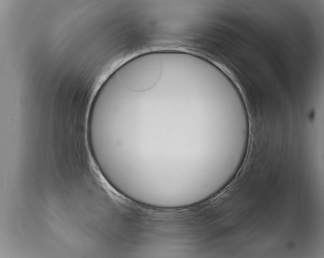 X0000111911485200907271022