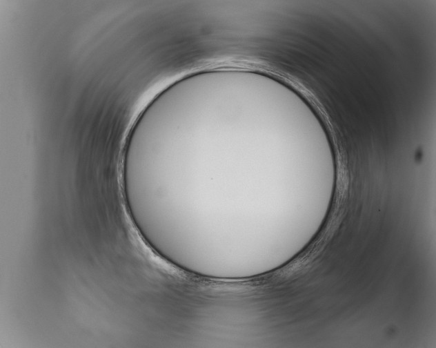 X0000111911486200907271022