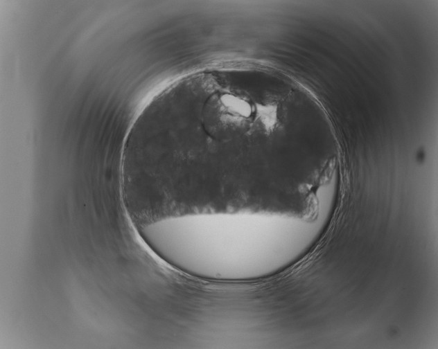 X0000111911487200907271022
