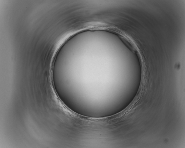 X0000111911488200907271022