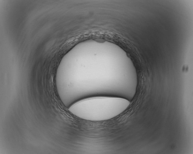 X0000111911489200907271022