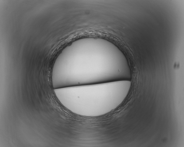 X0000111911490200907271022