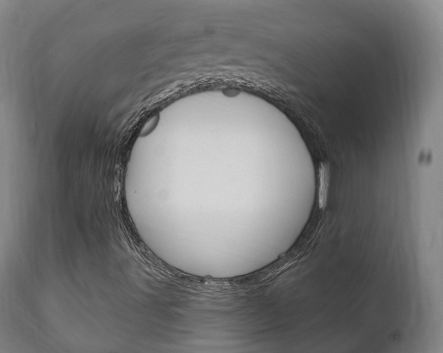 X0000111911491200907271022